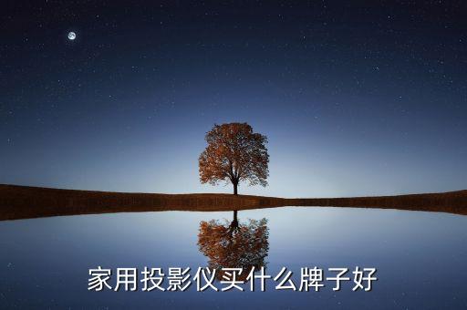 家用投影儀買什么牌子好