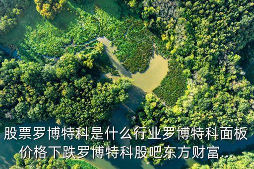 股票羅博特科是什么行業(yè)羅博特科面板價(jià)格下跌羅博特科股吧東方財(cái)富...