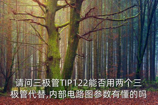 請(qǐng)問三極管TIP122能否用兩個(gè)三極管代替,內(nèi)部電路圖參數(shù)有懂的嗎