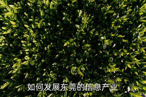 如何發(fā)展東莞的信息產(chǎn)業(yè)