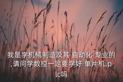 我是學(xué)機(jī)械制造及其 自動(dòng)化 專業(yè)的,請(qǐng)問(wèn)學(xué)數(shù)控一定要學(xué)好 單片機(jī),plc嗎