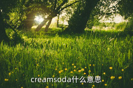 soda上海大數(shù)據(jù),creamsoda是什么意思?