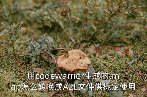 用codewarrior生成的.map怎么轉(zhuǎn)換成A2L文件供標(biāo)定使用