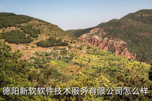 德陽新軟軟件技術(shù)服務(wù)有限公司怎么樣
