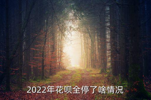 2022年花唄全停了啥情況