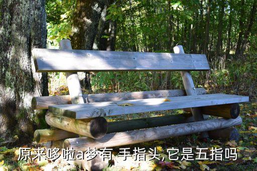 泰奧機(jī)器人有幾根手指