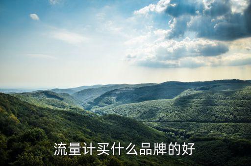 流量計買什么品牌的好