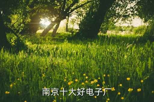 南京十大好電子廠