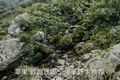 蘋果 數(shù)據(jù)線哪個(gè)牌子好求推薦