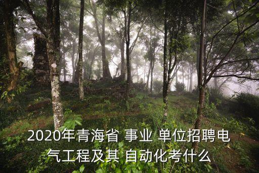 2020年青海省 事業(yè) 單位招聘電氣工程及其 自動(dòng)化考什么