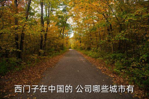 西門子在中國(guó)的 公司哪些城市有