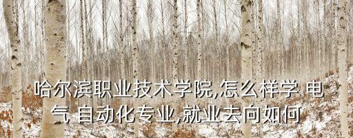  哈爾濱職業(yè)技術(shù)學(xué)院,怎么樣學(xué) 電氣 自動化專業(yè),就業(yè)去向如何