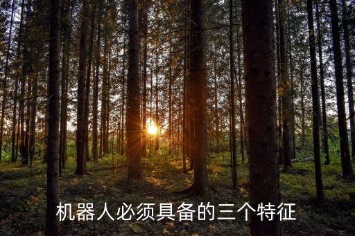 機器人是怎么樣的,什么樣的人才是機器人?