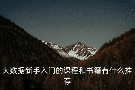 大數(shù)據(jù)新手入門的課程和書籍有什么推薦