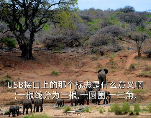 USB接口上的那個標(biāo)志是什么意義啊(一根線分為三根,一圓圈,一三角,一...