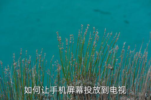 手機(jī)投屏方法,手機(jī)怎么投屏到電視?如何操作方法如下