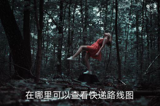 快遞公司自動化布局圖,快遞物流有自動到包裹生產(chǎn)中心的嗎?