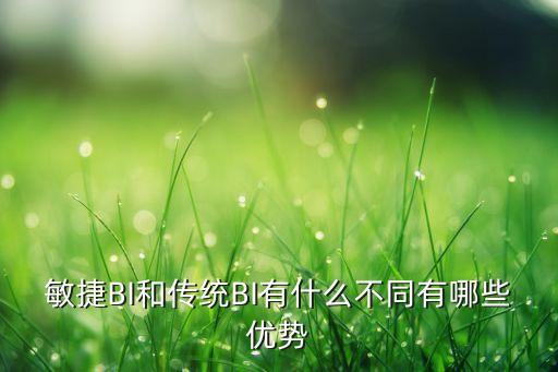 敏捷BI和傳統(tǒng)BI有什么不同有哪些優(yōu)勢(shì)
