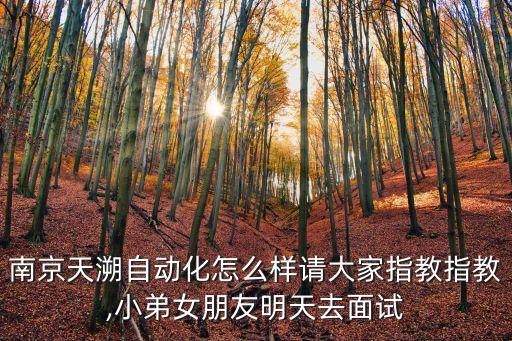 自動化哪家公司好些啊南京,南京哪家公司做的比較好?