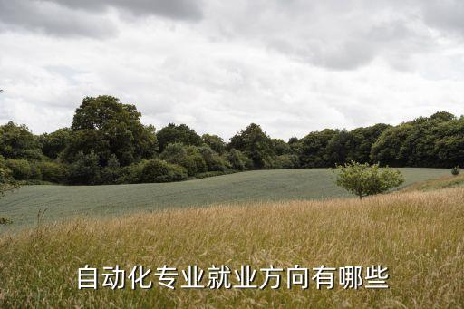 自動(dòng)化專業(yè)出來(lái)什么崗位,自動(dòng)化專業(yè)畢業(yè)能找什么工作?