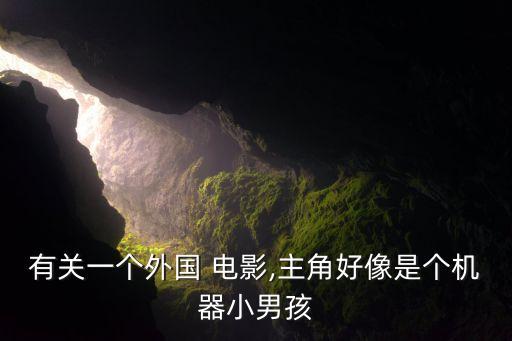有關(guān)一個(gè)外國(guó) 電影,主角好像是個(gè)機(jī)器小男孩
