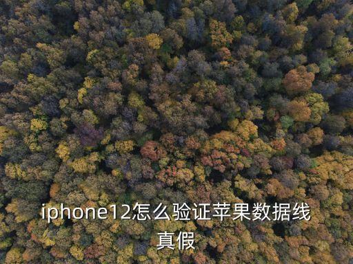 如何測試蘋數(shù)據(jù)線,蘋果數(shù)據(jù)線真假辨別方法與秘訣