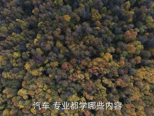  汽車 專業(yè)都學(xué)哪些內(nèi)容