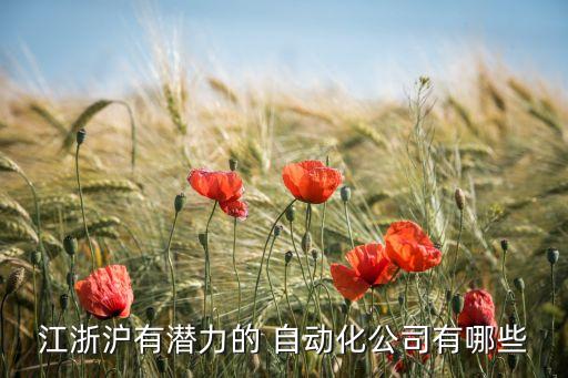江浙滬有潛力的 自動化公司有哪些