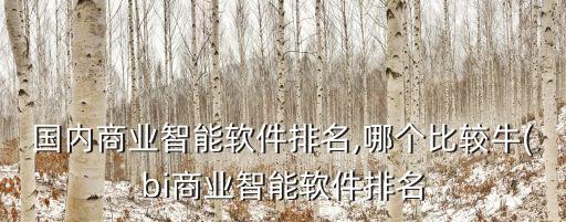 國內(nèi)商業(yè)智能軟件排名,哪個(gè)比較牛(bi商業(yè)智能軟件排名