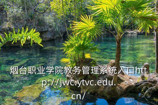 煙臺(tái)職業(yè)學(xué)院教務(wù)管理系統(tǒng)入口http://jwc.ytvc.edu.cn/