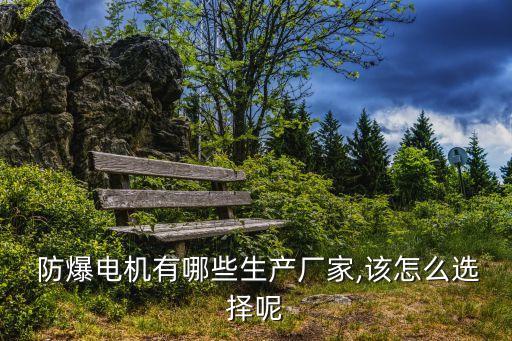  防爆電機有哪些生產(chǎn)廠家,該怎么選擇呢