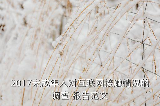 2017未成年人對(duì)互聯(lián)網(wǎng)接觸情況的調(diào)查 報(bào)告范文
