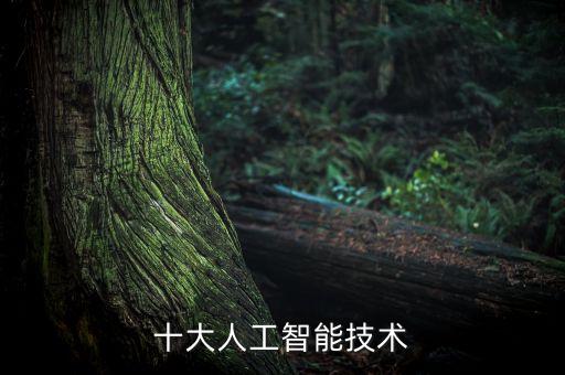 布丁發(fā)單機(jī)器人怎么樣,布丁機(jī)器人可以刷機(jī)嗎?答案出爐!