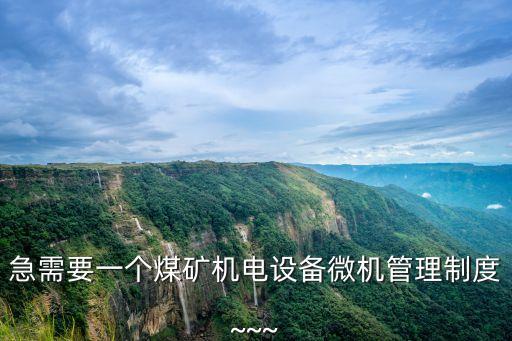 急需要一個(gè)煤礦機(jī)電設(shè)備微機(jī)管理制度~~~
