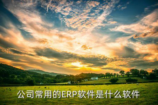 公司常用的ERP軟件是什么軟件