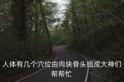 人體有幾個(gè)穴位由向塊骨頭組成大神們幫幫忙
