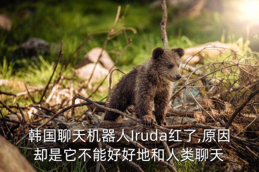 韓國聊天機(jī)器人Iruda紅了,原因卻是它不能好好地和人類聊天