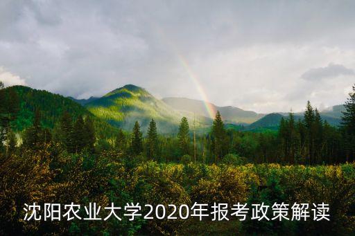 沈陽農(nóng)業(yè)大學(xué)2020年報(bào)考政策解讀