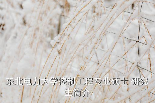 東北電力大學(xué)控制工程專業(yè)碩士 研究生簡介
