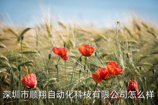 深圳市順翔自動(dòng)化科技有限公司怎么樣