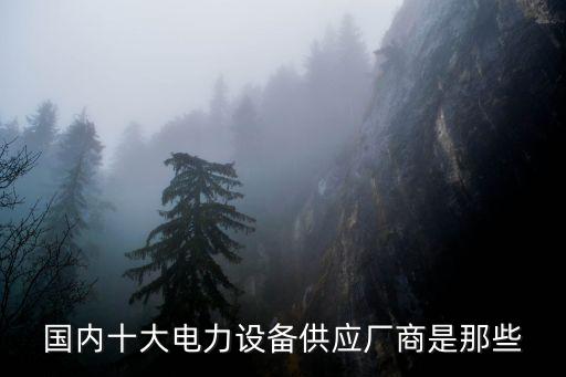 國內(nèi)十大電力設(shè)備供應(yīng)廠商是那些