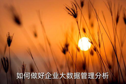 如何做好企業(yè)大數(shù)據(jù)管理分析