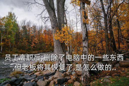 員工離職后;刪除了電腦中的一些東西,但老板將其恢復(fù)了,是怎么做的...