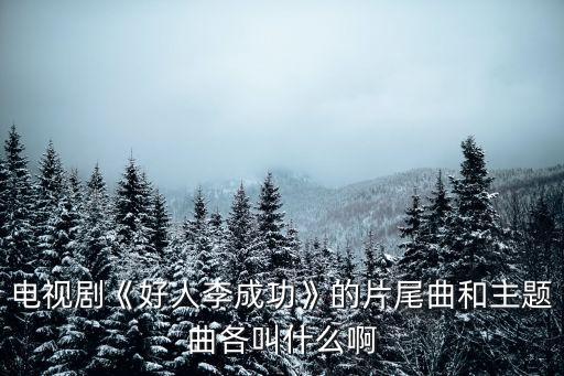 李成功