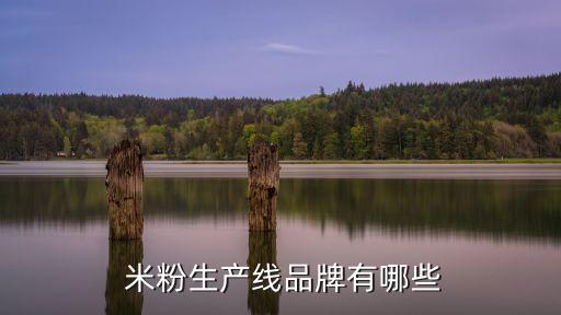  米粉生產(chǎn)線品牌有哪些