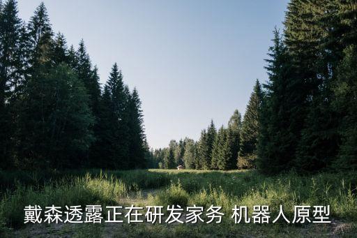 戴森透露正在研發(fā)家務(wù) 機器人原型