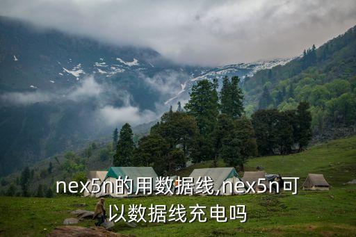 nex5n的用數(shù)據(jù)線,nex5n可以數(shù)據(jù)線充電嗎