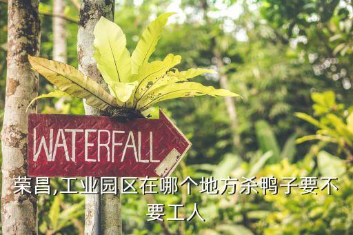 殺鴨廠自動(dòng)化設(shè)備視頻,廠里面自動(dòng)化設(shè)備是干嘛的