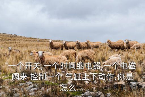 一個開關(guān),一個時間繼電器,一個電磁閥來 控制一個 氣缸上下動作,你是怎么...