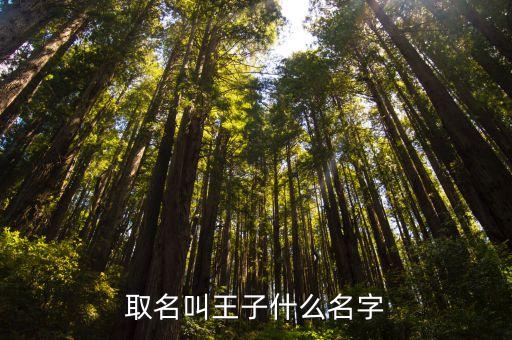 取名叫王子什么名字